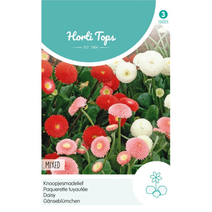 Horti Tops® Bellis Perennis Pomponette Var.