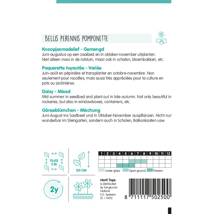 Horti Tops® Bellis Perennis Pomponette Var.