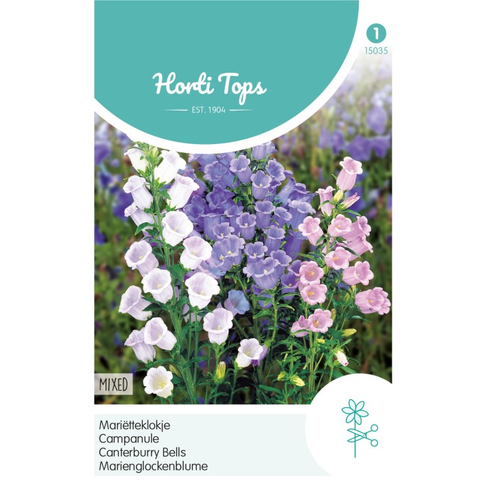 Horti Tops® Campanula Medium Simple Variee