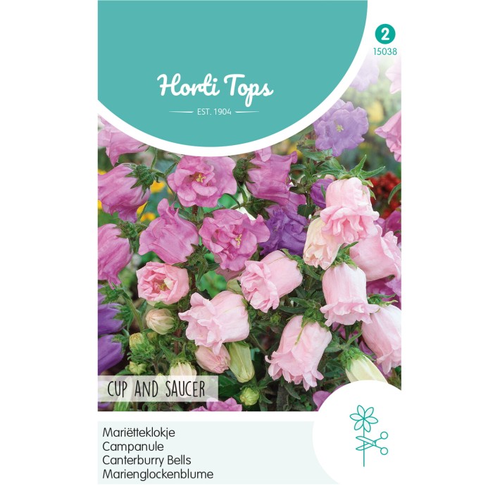 Horti Tops® Campanula calycanthema variée