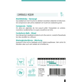 Campanula, Mariëtteklokje calycanthema gemengd