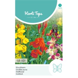 Horti Tops® Cheiranthus Cheirii Single Fair Lady Mixed