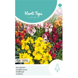 Horti Tops® Cheiranthus Ch. Tom Thumb Mix