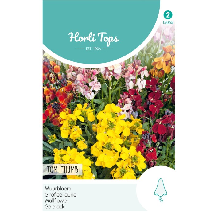 Horti Tops® Cheiranthus Ch. Tom Thumb Mix