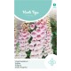 Horti Tops® Digitalis Apricot Beauty
