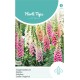Horti Tops® Digitalis Purp. Gloxiniaefl. Mxd