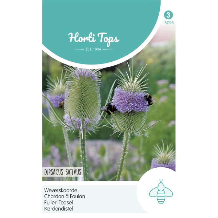 Horti Tops® Dipsacus sativus / Cardere