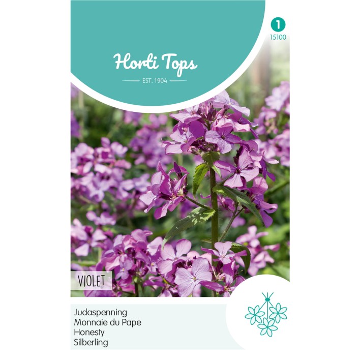 Horti Tops® Lunaria Annua( Biennis) Violet