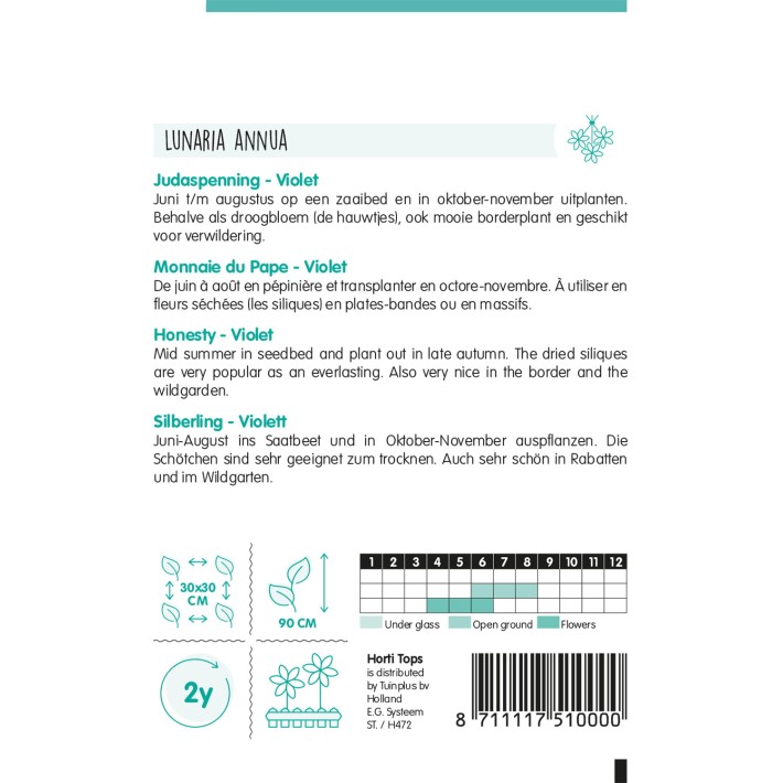 Horti Tops® Lunaria Annua( Biennis) Violet