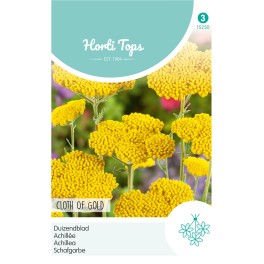 Achillea, Duizendblad Cloth Of Gold