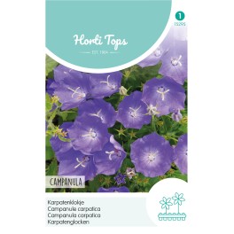 Campanula, Karpatenklokje blauw