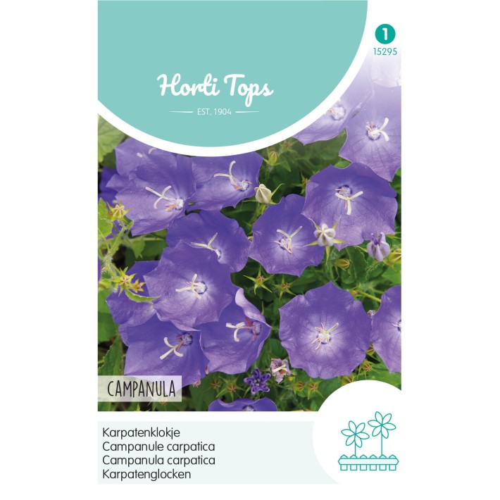 Horti Tops® Campanule Carpatica Bleue