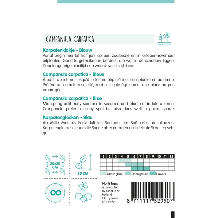 Horti Tops® Campanule Carpatica Bleue