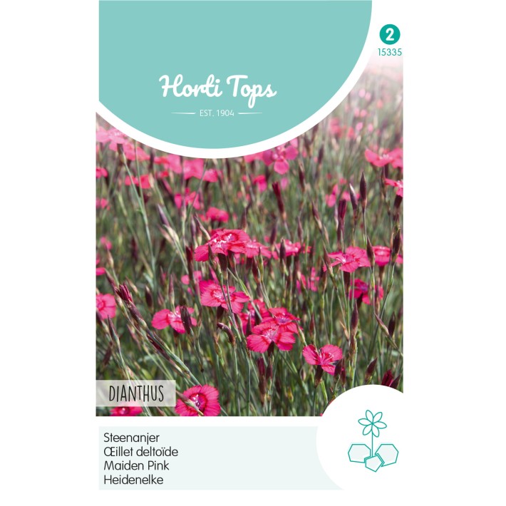 Horti Tops® Oeillet Deltoide Rouge Carmin