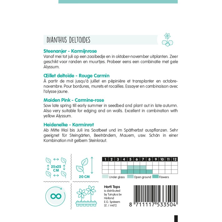 Horti Tops® Oeillet Deltoide Rouge Carmin