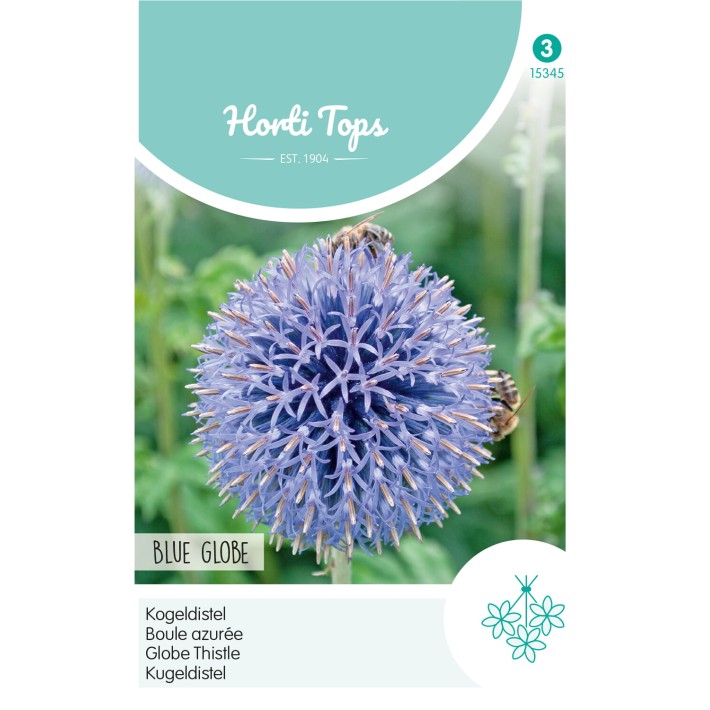 Horti Tops® Echinops Ritro boule azurée