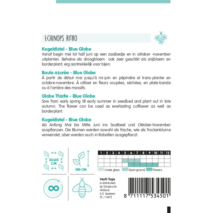 Horti Tops® Echinops Ritro boule azurée