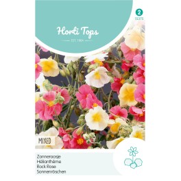 Horti Tops® Helianthemum Mutabile Varie