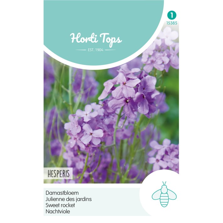 Horti Tops® Julienne Des Jardins Pourpre / Hesperis