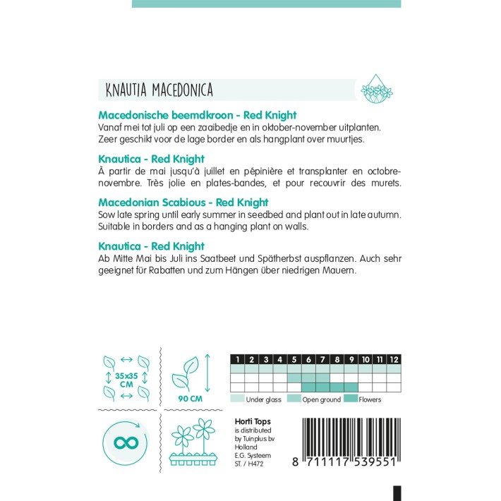 Horti Tops® Knautia macedonica Red Knight