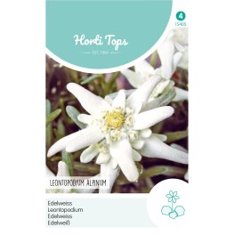 Horti Tops® Leontopodium Alpinum (Edelweiss)