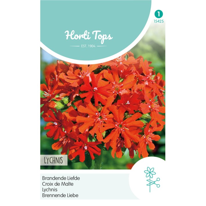 Horti Tops® Lychnis Croix De Jerusalem Rouge