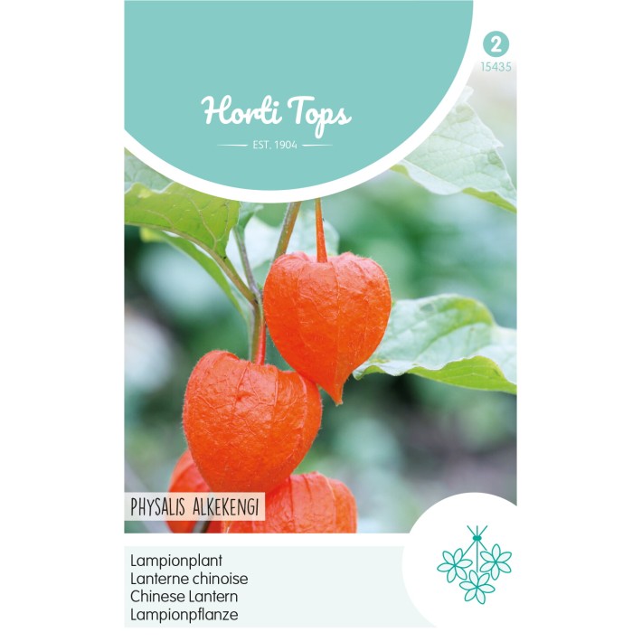 Horti Tops® Physalis Franchetti Gigantea
