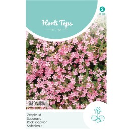 Horti Tops® Saponaria Ocymoides (Saponaire De Montpellier)
