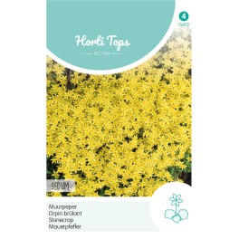 Horti Tops® Sédum Acre, jaune