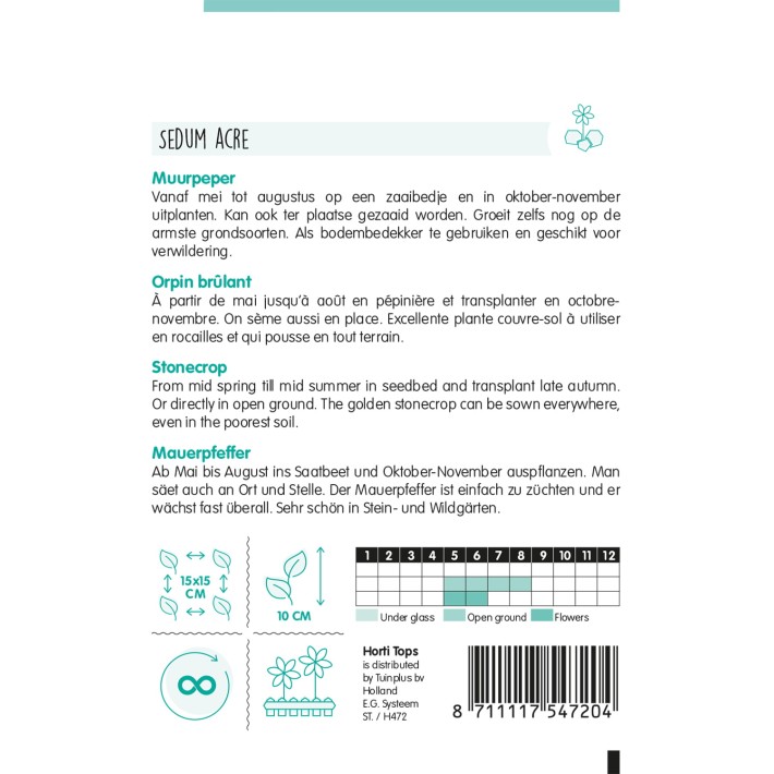 Horti Tops® Sédum Acre, jaune