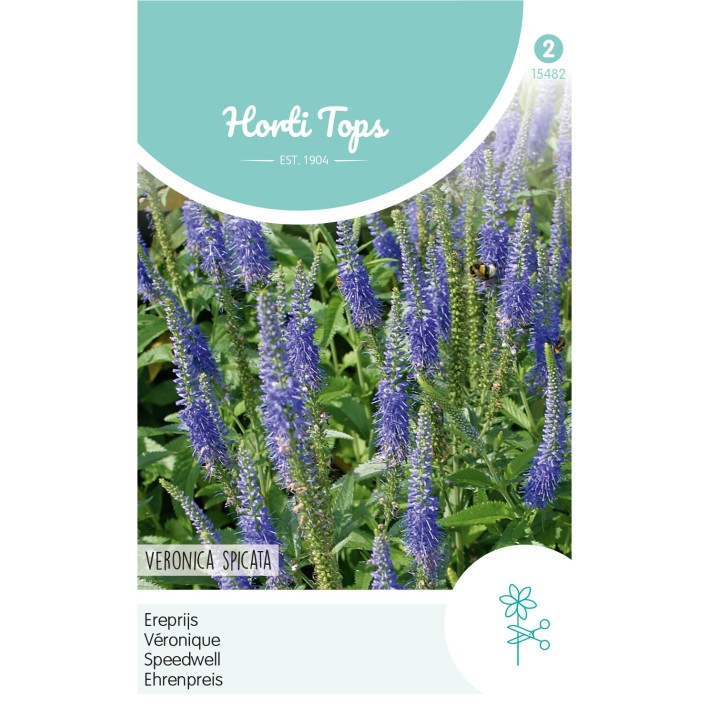 Horti Tops® Veronica Spicata Bleue / Veronique