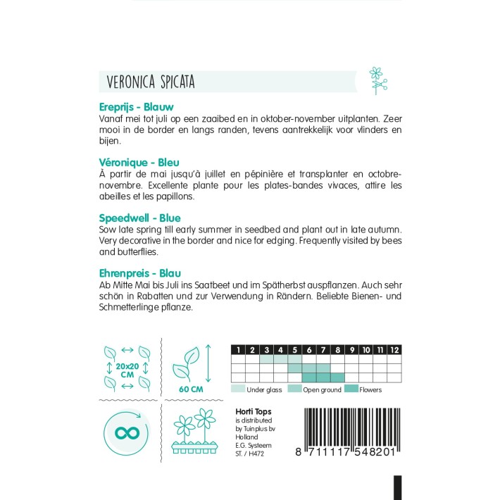 Horti Tops® Veronica Spicata Bleue / Veronique