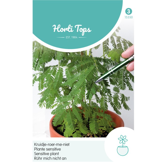Horti Tops® Mimosa Pudica