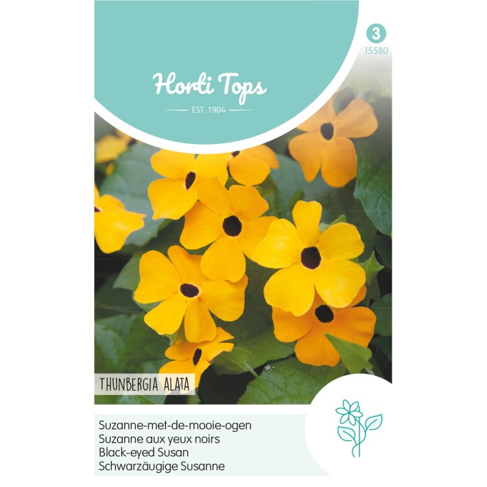 Horti Tops® Thunbergia Alata / Black-Eyed-Susan