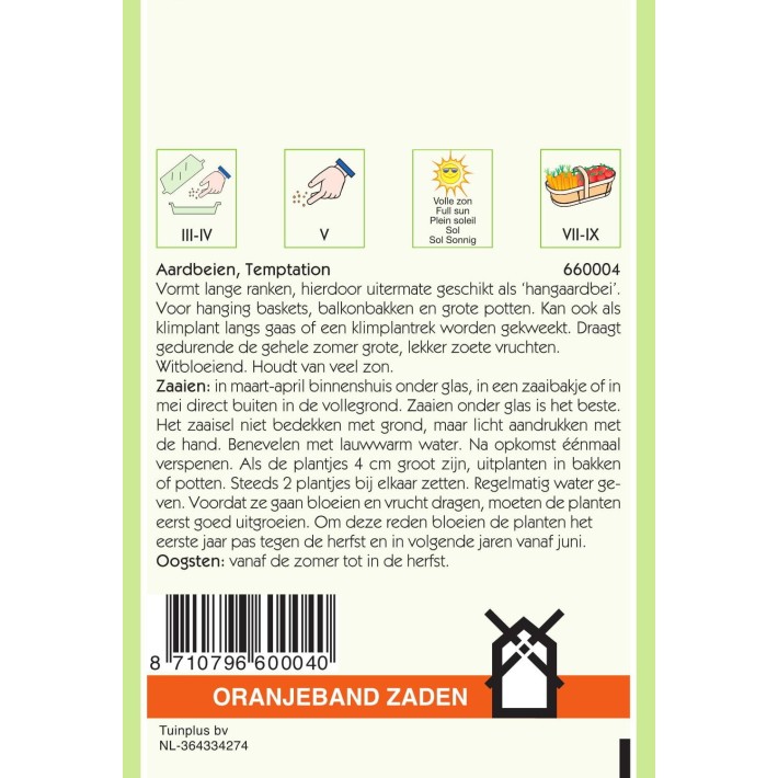 Oranjeband® Hanging Strawberry Temptation