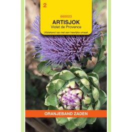 Artisjok Violet de Provence