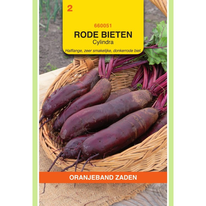 Oranjeband® Beetroot Cylindra