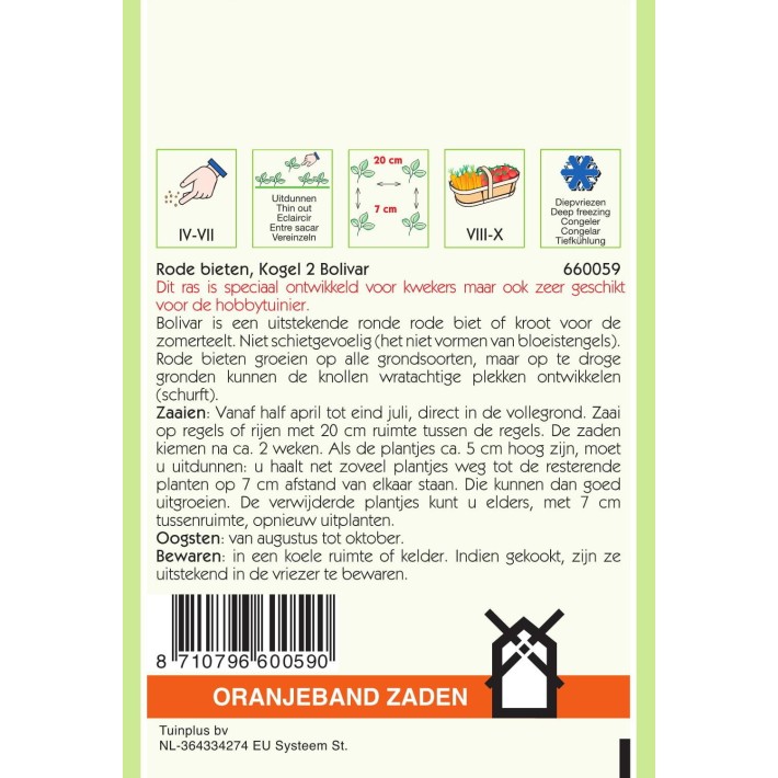 Oranjeband® Betteraves Pot, Detroit Amelioree -2 - Bolivar