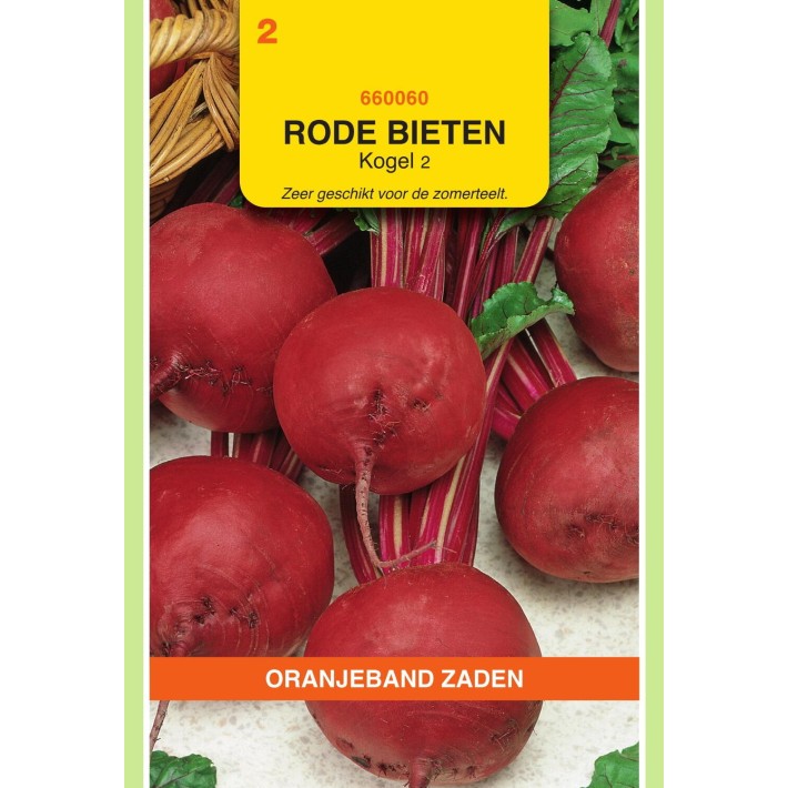 Oranjeband® Betteraves potagères Détroit - 2