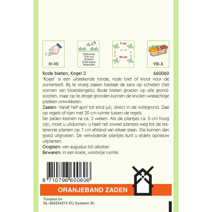 Oranjeband® Betteraves potagères Détroit - 2