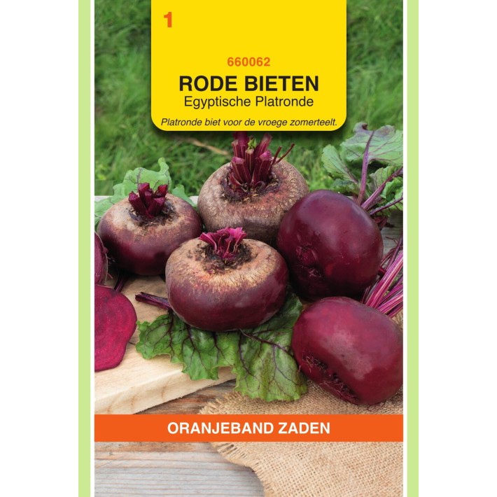 Oranjeband® Beet Egyptian Turnip Rooted