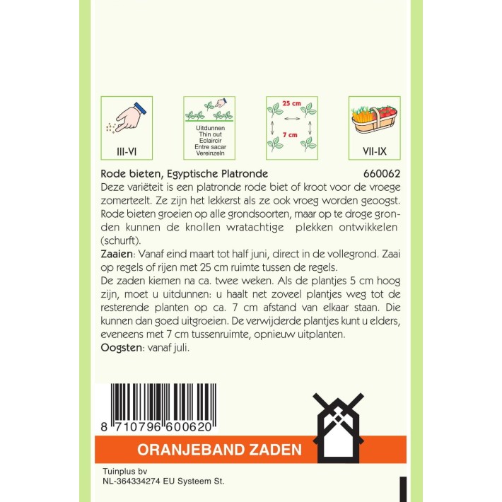 Oranjeband® Beet Egyptian Turnip Rooted