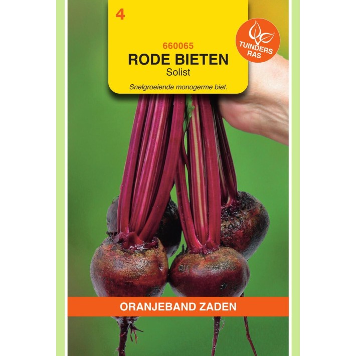 Oranjeband® Beetroot Solist, Monogerm