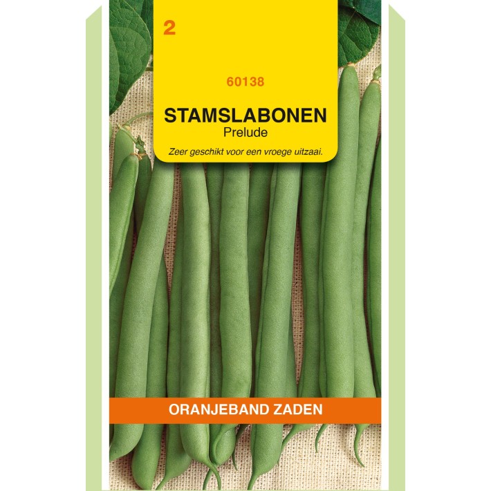 Oranjeband® Dwarf French beans Prelude, 50g