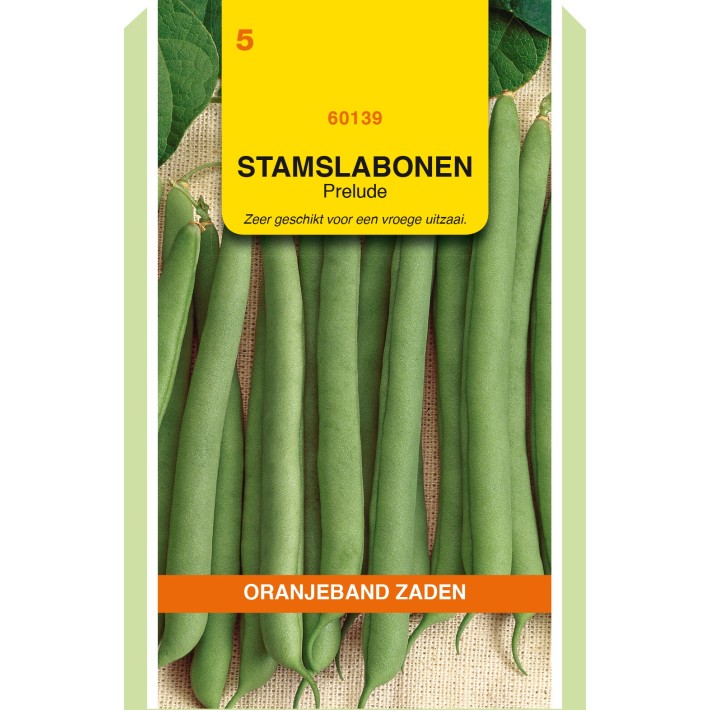 Oranjeband® Dwarf French beans Prelude, 100g