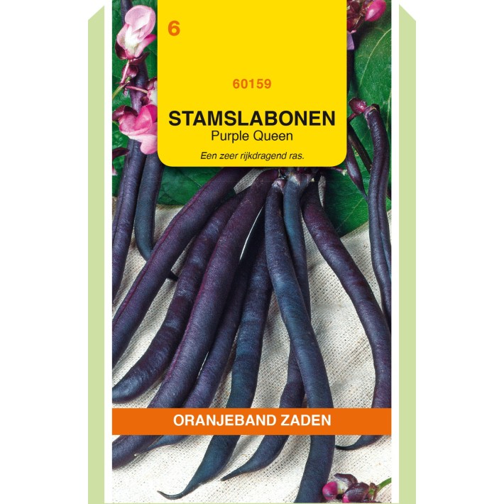 Oranjeband® Bush Beans Purple Queen, 100g