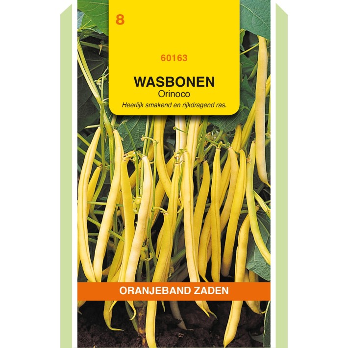 Oranjeband® Dwarf French Beans Orinoco, 100 gram