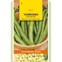 Oranjeband® Broad Beans Threefold White, 100g