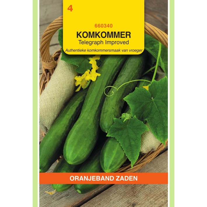 Oranjeband® Concombre Rollison Telegraph