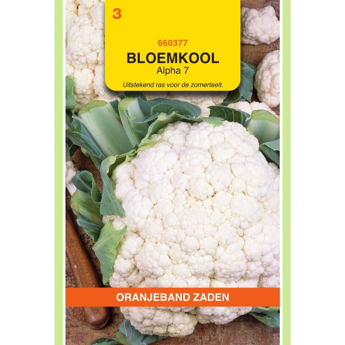 Oranjeband® Cauliflower  Alpha 7